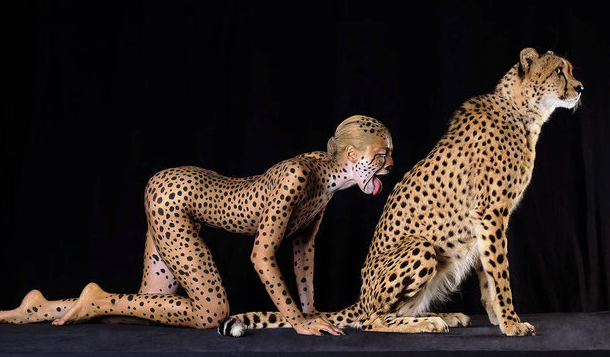 literally-a-cheetah
